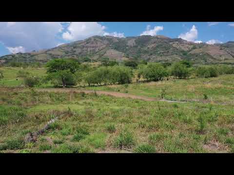 Lote 032- Origen Suroeste Antioqueño - Video 360°Etapa Farallones