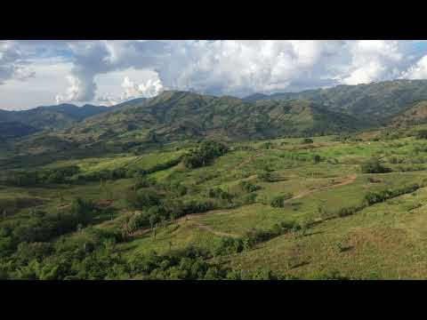 Origen Suroeste Antioqueño- Desde Bosque de las Orquídeas