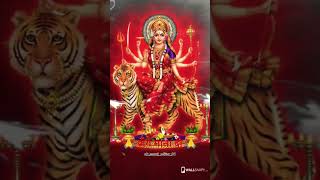 Navratri whatsApp status//bhakti #shorts //Ma durga spacial #status//#youtubeshorts #bhakti #bhajan🙏