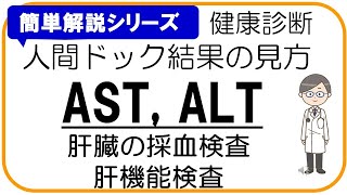 【人間ドック結果の見方】AST,ALT,肝臓採血検査,肝機能検査、健康診断結果の見方