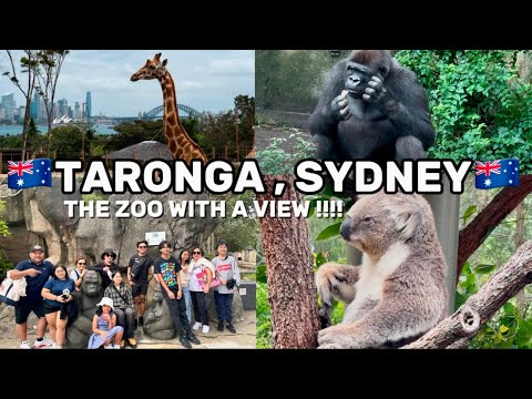 "You Won’t Believe What’s Hiding at Taronga Zoo Sydney! 🦁🐨" #australia #sydneyaustralia #tarongazoo