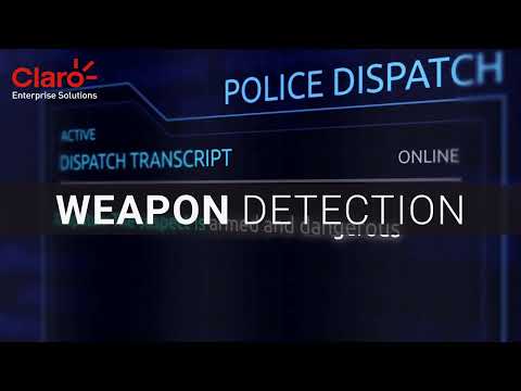 Detect Weapons with AI Video Analytics