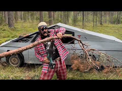 Firewood fot the winter🪚🪓 #cybertruck #tesla #phone #tv #funnyvideo #chainsaw  #Safety