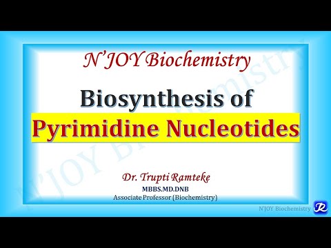 Pyrimidine Biosynthesis | Nucleotide Metabolism | Biochemistry | N'JOY Biochemistry