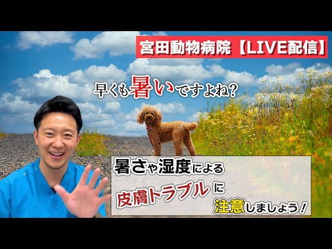 宮田動物病院 ライブ配信【MAHチャンネル】