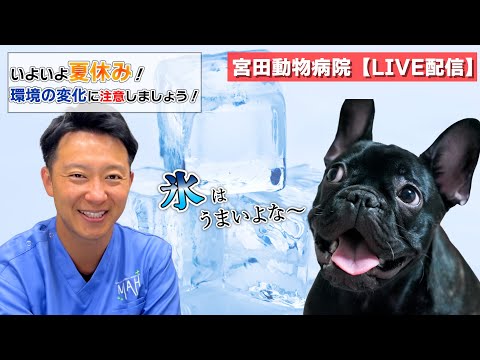 宮田動物病院 ライブ配信【MAHチャンネル】