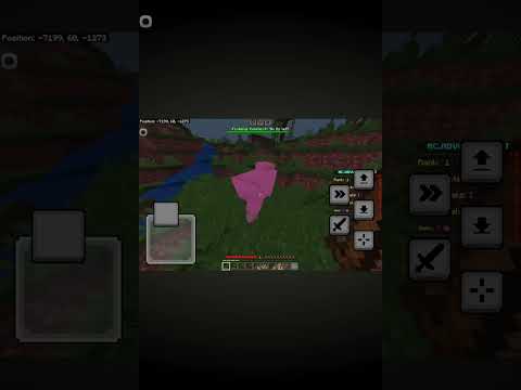 I foun a pink sheep in minecraft! #shorts #clips