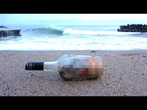 Bottle that washed up on shore contained a dangerous creature