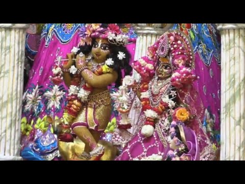 Chandan Yatra Darshan 2023 || Day - 6 || Sri Dham Mayapur || Sandalwood Voyage