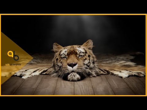 Save Wild Tigers: Ray the Rug