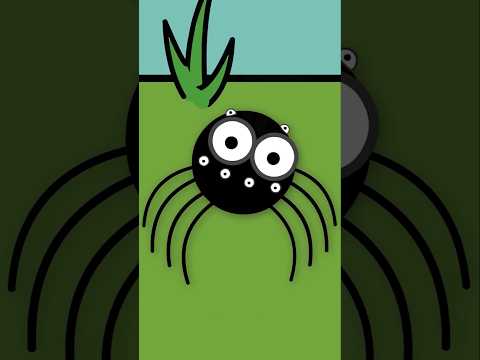 That is one itsy bitsy spider!!! #itsybitsyspider #alternativenurseryrhymes #insectsarecool