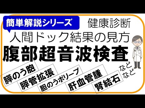 【人間ドック結果の見方】腹部超音波検査, 腹部エコー検査、健康診断結果の見方