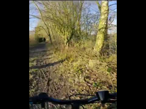 Wild bike ride in Jungle #wildride #UK #shortsvideos