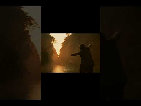 Amazing Shots of APOCALYPSE NOW