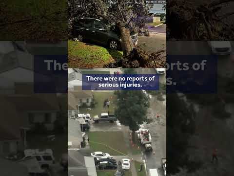 Tornado downs trees in LA County neighborhood