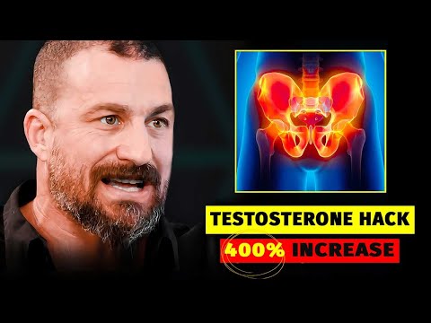 CRAZY Testosterone and Energy Flow With This Scientific Trick | Andrew Huberman- Neuroscientist