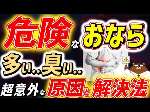 「おなら」でわかる驚きの腸内環境の変化。絶対に見逃してはいけない危険サインとは？あなたのお腹の不調の原因、腸内細菌と食べ物の関係とは。おならをなくす「低FODMAP食」って何？医師が完全解説！