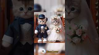 cat story|cat videos|#catvideo #aiimages #aicat #meowmeow #shorts #trending #viralshorts #rizzulover