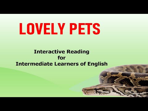 Lovely Pets - Interactive Reading for Intermediate learners of English