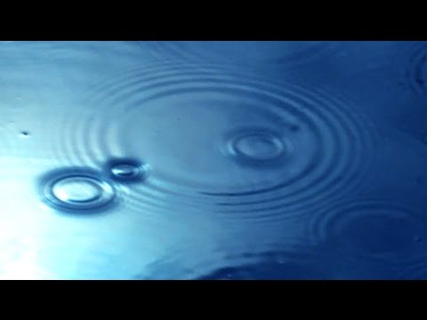 Zen Garden Rain - Relaxation, Meditation, Mindfulness Pure Bliss