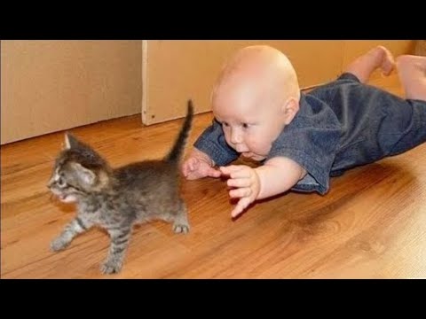 Intelligent Cats Vs Dogs Funny videos | ♥️🤣🤣New Funny videos daily | Wait For End Part #happynewyear