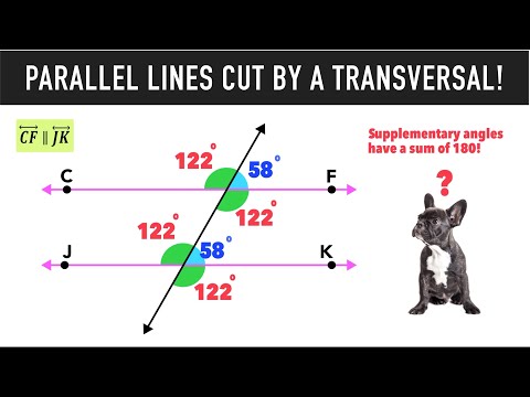 Parallel Lines Cut by a Transversal & Angle Relationships!