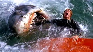 All the best shark attacks from Jaws 🌀 4K