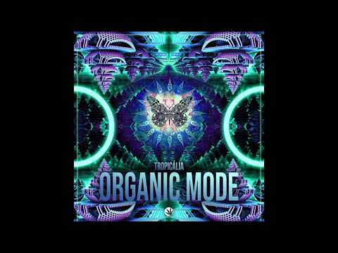 Tropicália - Organic (Original mix)