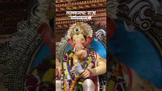 Lalbaug cha raja ❤️🙏🏻 | #lalbaugcharaja2024 #bappa #ganpatibappamoraya #shorts #ytshorts