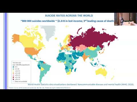 The Neurobiology of Suicidal Behavior Presented By Maria A. Oquendo, M.D., Ph.D.