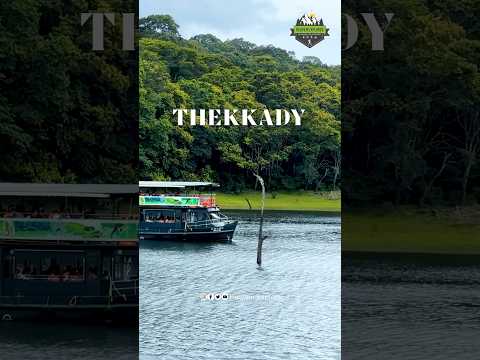 Thekkady❤️😍 #kerala #travelvlog #travellovers #keralatourism