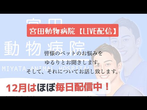 宮田動物病院 ライブ配信【MAHチャンネル】