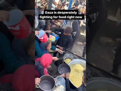 Gaza Desperately Fighting for Food Right Now #viralvideo