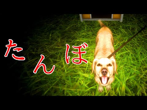 泣いてしまうと話題の犬の散歩をするホラーゲーム『たんぼ』