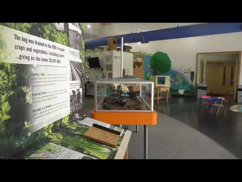 Celery Bog Naturalist Highlights Benefits of Birds for National Bird Awareness Week