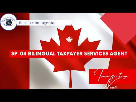 Top Jobs in Canada for 2024: 10 Government of Canada Jobs You Can Get || Blue Eye Immigration