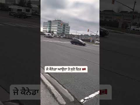 Canada Has Become Mini Punjab 🤣🤣.   #funny #canada #shorts #viral #trending