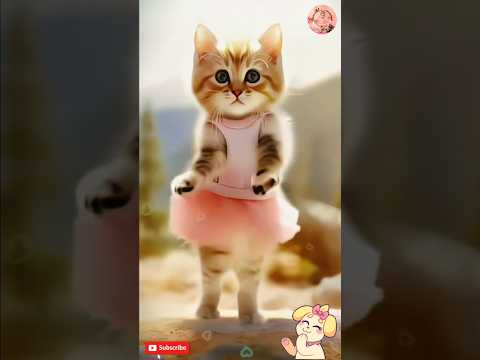 Patli kamariya song || dancing cat video || #cat #shorts #catlover