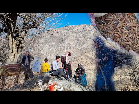 Inside the Last Nomadic Tribe in the Zagros Mountains