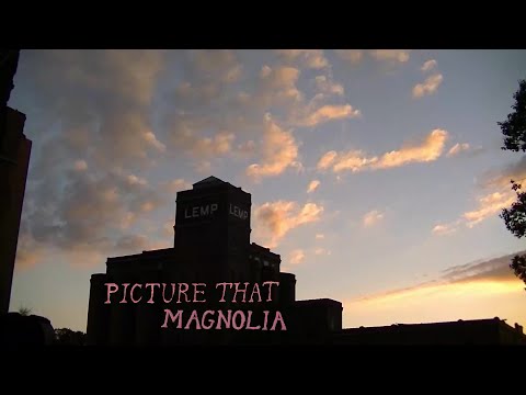 Picture That - "Magnolia" (Official video)