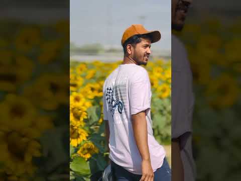 সূর্যমুখী ফল 🌻🌻সূর্যমুখী ফুলের বাগান #shortsfeed #january2019 #viralvideo #foryou @mahim52