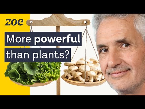 The surprising nutrients found in mushrooms | Professor Tim Spector & Merlin Sheldrake