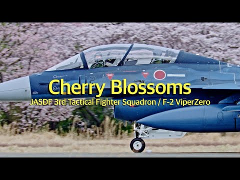 [百里基地 ASMR]　2024 桜満開 アフターバーナー全開！F-2戦闘機　Cherry blossoms in full bloom　JASDF 3SQ F-2 ViperZero