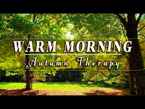 Autumn Therapy 🍂 Warm Autumn Morning Ambience & Birds Singing | Healing Frequency Forest Meditation