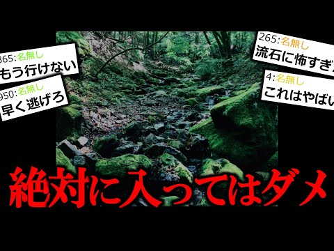 【怖い話】山から人が帰ってこない。恐怖の真相がヤバかった。【ゆっくり怪談】