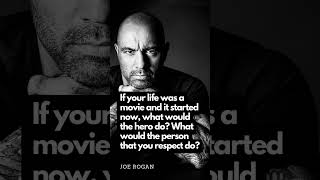 JOE ROGAN: You're the director of your life