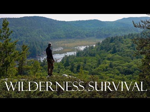 3-Day Solo Survival Catch and Cook in the Deep Wilderness