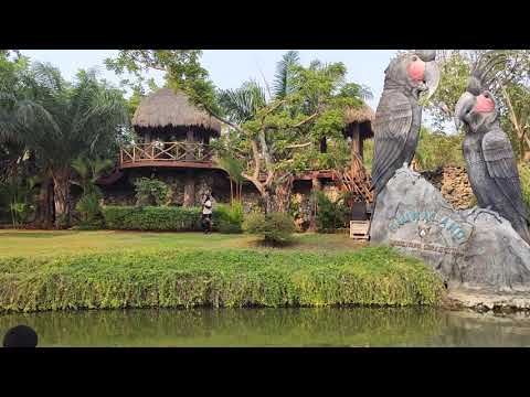 Fauna land - Bird Show