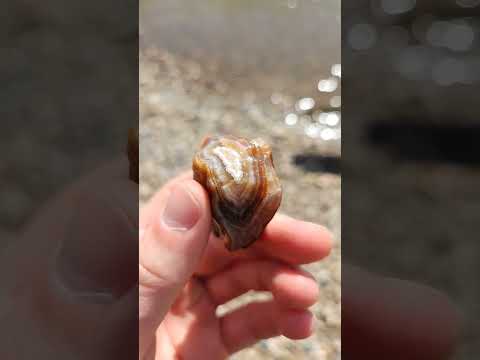 My best agate find of 2024! #agate #rock #rockhounding #agatedad #geology #lakesuperior #minnesota