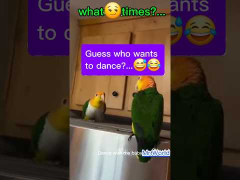 #dance #night🤭 #funniestmomentsever #trynottolaugh #funnyclips #topfunnymoments #funniest #shorts